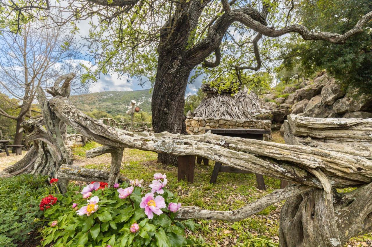 منزل الضيف بوناي  في Il Rifugio المظهر الخارجي الصورة